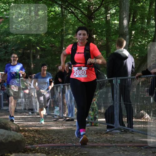28.09.2025 - 33. Volkslauf durch das schöne Alstertal Strokosch-Dieckow http://msf.ph/oto/8953770 28.09.2025 12:34:14 Ziel 2080, 2259, 2260, 2600 meine-sportfotos.de
