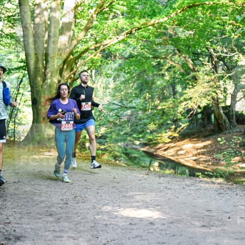 28.09.2025 - 33. Volkslauf durch das schöne Alstertal Dr. Thomas Lammeyer http://msf.ph/oto/8953771 28.09.2025 10:36:53 Laufen 2446, 2453 meine-sportfotos.de