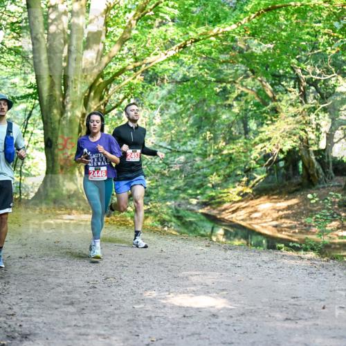 28.09.2025 - 33. Volkslauf durch das schöne Alstertal Dr. Thomas Lammeyer http://msf.ph/oto/8953772 28.09.2025 10:36:53 Laufen 2446, 2453 meine-sportfotos.de