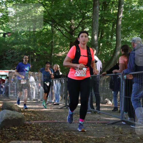 28.09.2025 - 33. Volkslauf durch das schöne Alstertal Strokosch-Dieckow http://msf.ph/oto/8953773 28.09.2025 12:34:15 Ziel 2080, 2259, 2260, 2600 meine-sportfotos.de