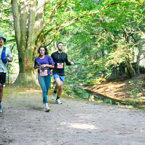 28.09.2025 - 33. Volkslauf durch das schöne Alstertal Dr. Thomas Lammeyer http://msf.ph/oto/8953774 28.09.2025 10:36:54 Laufen 2453, 2446 meine-sportfotos.de