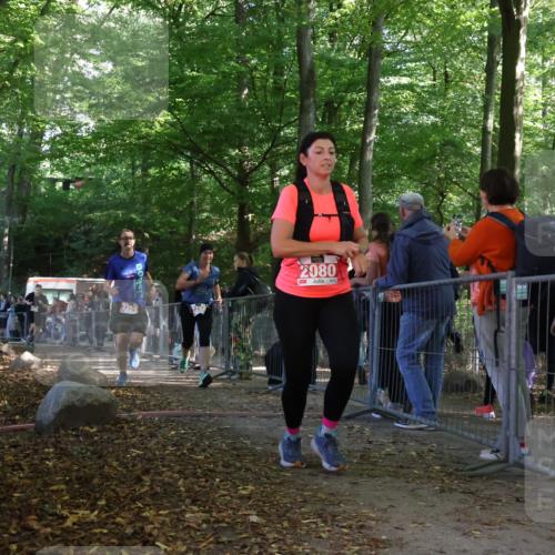 28.09.2025 - 33. Volkslauf durch das schöne Alstertal Strokosch-Dieckow http://msf.ph/oto/8953776 28.09.2025 12:34:15 Ziel 2080, 2259, 2260, 2600 meine-sportfotos.de