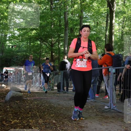 28.09.2025 - 33. Volkslauf durch das schöne Alstertal Strokosch-Dieckow http://msf.ph/oto/8953778 28.09.2025 12:34:16 Ziel 2259, 2260, 2600 meine-sportfotos.de