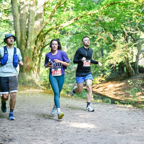 28.09.2025 - 33. Volkslauf durch das schöne Alstertal Dr. Thomas Lammeyer http://msf.ph/oto/8953779 28.09.2025 10:36:54 Laufen 2446, 2453 meine-sportfotos.de