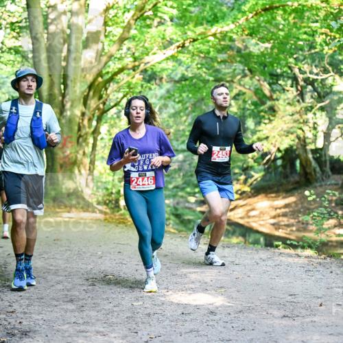 28.09.2025 - 33. Volkslauf durch das schöne Alstertal Dr. Thomas Lammeyer http://msf.ph/oto/8953780 28.09.2025 10:36:54 Laufen 2446, 2453 meine-sportfotos.de