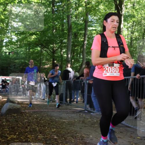 28.09.2025 - 33. Volkslauf durch das schöne Alstertal Strokosch-Dieckow http://msf.ph/oto/8953781 28.09.2025 12:34:16 Ziel 2259, 2260, 2600 meine-sportfotos.de