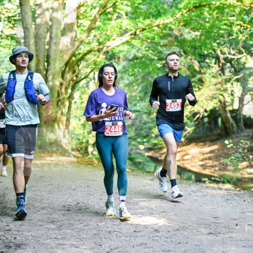 28.09.2025 - 33. Volkslauf durch das schöne Alstertal Dr. Thomas Lammeyer http://msf.ph/oto/8953782 28.09.2025 10:36:54 Laufen 2446, 2453 meine-sportfotos.de