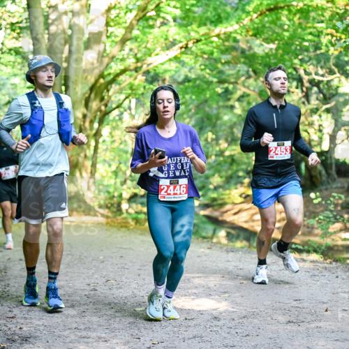 28.09.2025 - 33. Volkslauf durch das schöne Alstertal Dr. Thomas Lammeyer http://msf.ph/oto/8953785 28.09.2025 10:36:55 Laufen 2446, 2453 meine-sportfotos.de