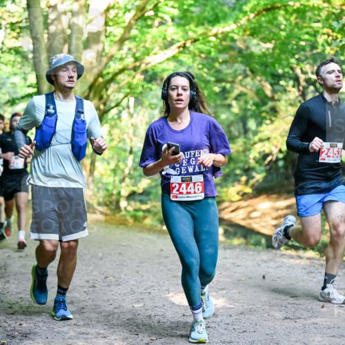 28.09.2025 - 33. Volkslauf durch das schöne Alstertal Dr. Thomas Lammeyer http://msf.ph/oto/8953788 28.09.2025 10:36:55 Laufen 2446, 2453 meine-sportfotos.de