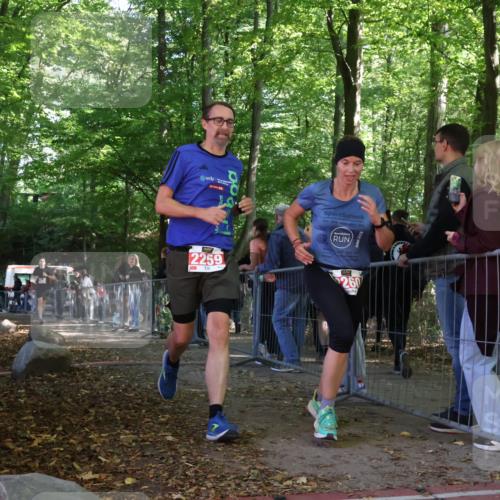 28.09.2025 - 33. Volkslauf durch das schöne Alstertal Strokosch-Dieckow http://msf.ph/oto/8953793 28.09.2025 12:34:18 Ziel 2259, 2600 meine-sportfotos.de