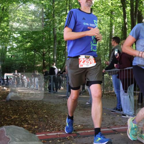 28.09.2025 - 33. Volkslauf durch das schöne Alstertal Strokosch-Dieckow http://msf.ph/oto/8953800 28.09.2025 12:34:19 Ziel 2600 meine-sportfotos.de