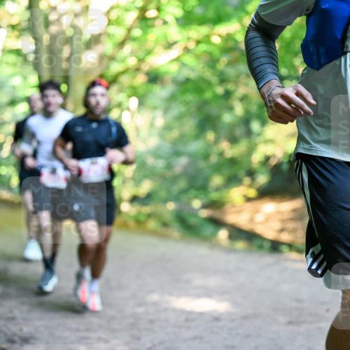 28.09.2025 - 33. Volkslauf durch das schöne Alstertal Dr. Thomas Lammeyer http://msf.ph/oto/8953801 28.09.2025 10:36:57 Laufen  meine-sportfotos.de