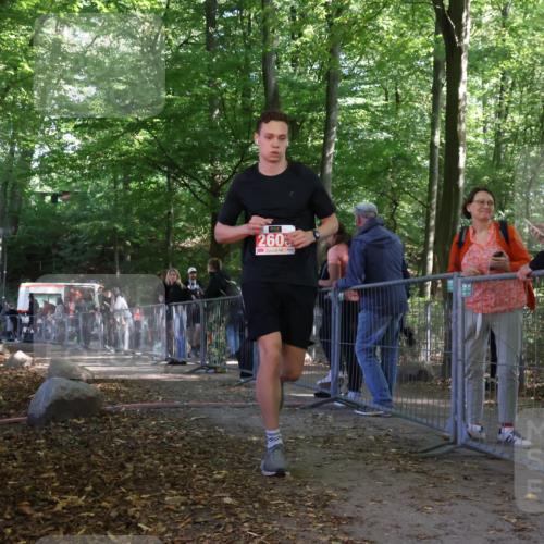 28.09.2025 - 33. Volkslauf durch das schöne Alstertal Strokosch-Dieckow http://msf.ph/oto/8953814 28.09.2025 12:34:22 Ziel 2600 meine-sportfotos.de