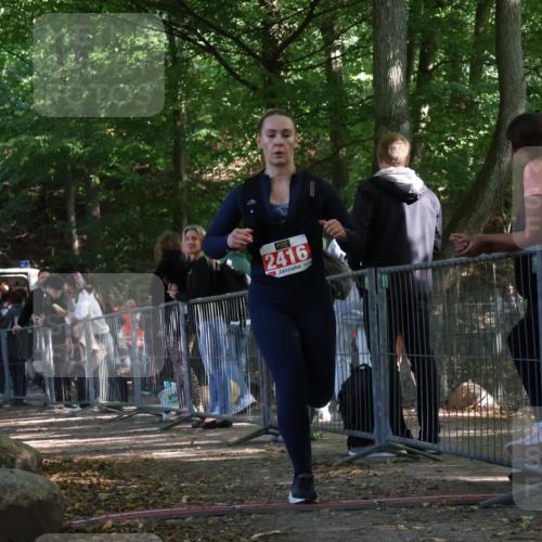 28.09.2025 - 33. Volkslauf durch das schöne Alstertal Strokosch-Dieckow http://msf.ph/oto/8953820 28.09.2025 12:34:43 Ziel 2416 meine-sportfotos.de