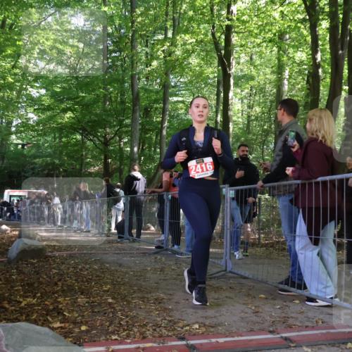 28.09.2025 - 33. Volkslauf durch das schöne Alstertal Strokosch-Dieckow http://msf.ph/oto/8953827 28.09.2025 12:34:44 Ziel  meine-sportfotos.de