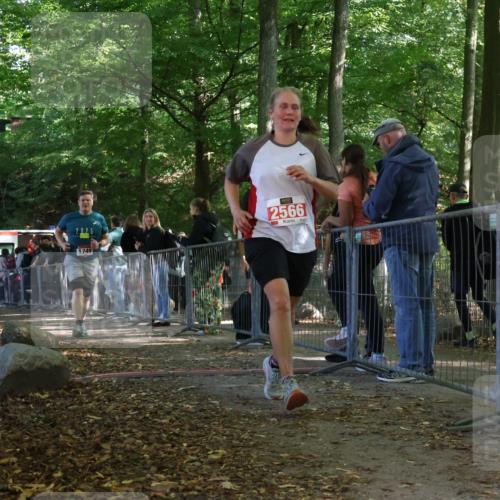 28.09.2025 - 33. Volkslauf durch das schöne Alstertal Strokosch-Dieckow http://msf.ph/oto/8953843 28.09.2025 12:35:00 Ziel 1749, 2566 meine-sportfotos.de