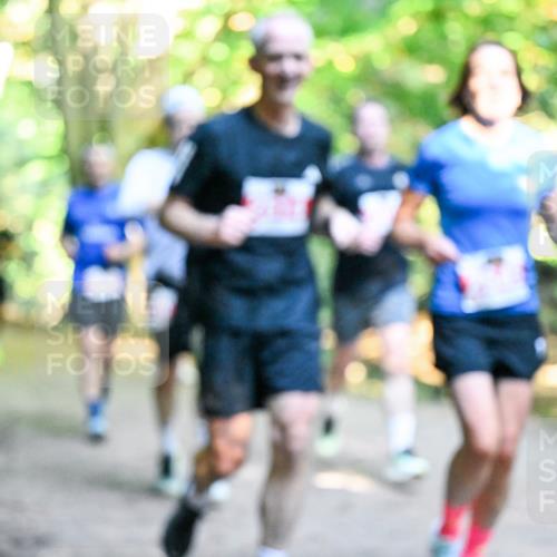 28.09.2025 - 33. Volkslauf durch das schöne Alstertal Dr. Thomas Lammeyer http://msf.ph/oto/8953846 28.09.2025 10:37:04 Laufen  meine-sportfotos.de