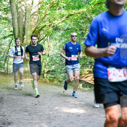28.09.2025 - 33. Volkslauf durch das schöne Alstertal Dr. Thomas Lammeyer http://msf.ph/oto/8953858 28.09.2025 10:37:06 Laufen 331, 2041 meine-sportfotos.de