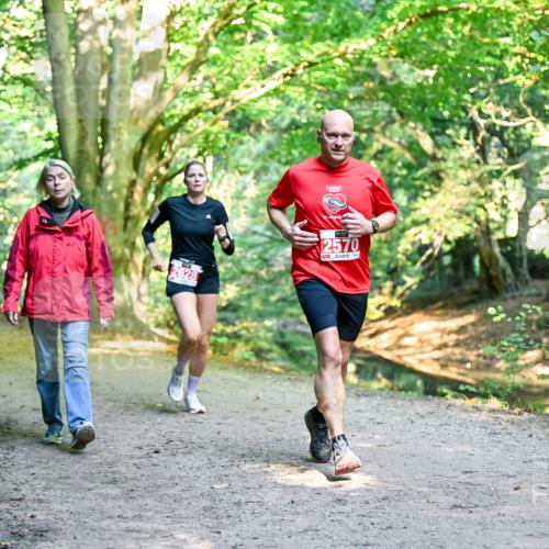 28.09.2025 - 33. Volkslauf durch das schöne Alstertal Dr. Thomas Lammeyer http://msf.ph/oto/8953888 28.09.2025 10:37:18 Laufen 2570 meine-sportfotos.de