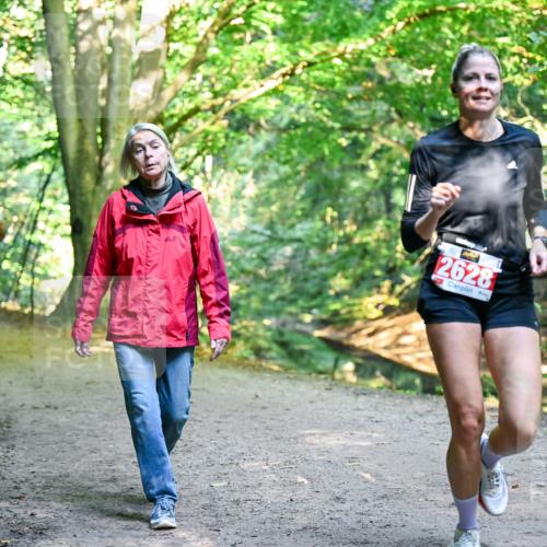 28.09.2025 - 33. Volkslauf durch das schöne Alstertal Dr. Thomas Lammeyer http://msf.ph/oto/8953900 28.09.2025 10:37:20 Laufen 2628 meine-sportfotos.de