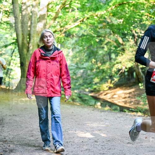 28.09.2025 - 33. Volkslauf durch das schöne Alstertal Dr. Thomas Lammeyer http://msf.ph/oto/8953903 28.09.2025 10:37:20 Laufen 2628 meine-sportfotos.de