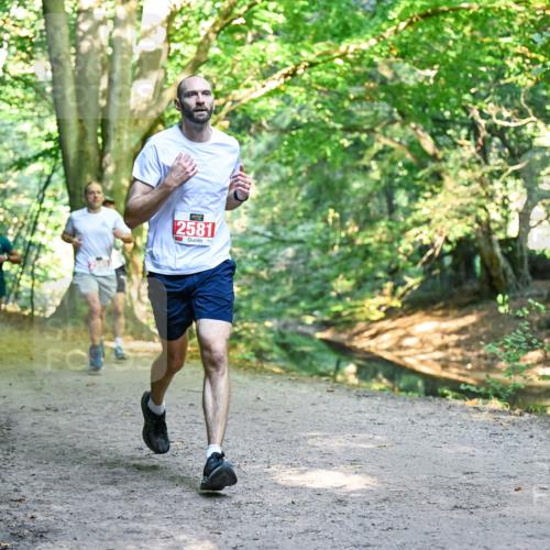 28.09.2025 - 33. Volkslauf durch das schöne Alstertal Dr. Thomas Lammeyer http://msf.ph/oto/8953909 28.09.2025 10:37:23 Laufen 2581 meine-sportfotos.de