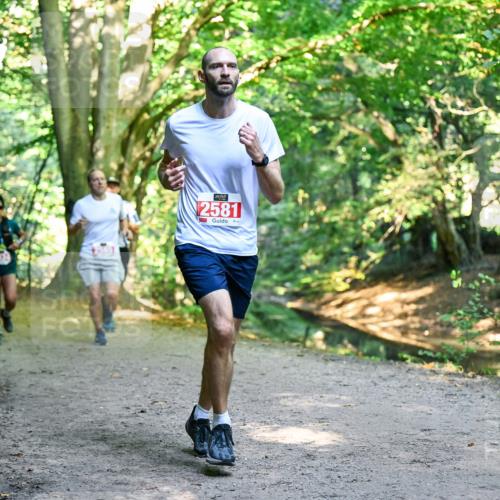 28.09.2025 - 33. Volkslauf durch das schöne Alstertal Dr. Thomas Lammeyer http://msf.ph/oto/8953912 28.09.2025 10:37:23 Laufen 2581 meine-sportfotos.de