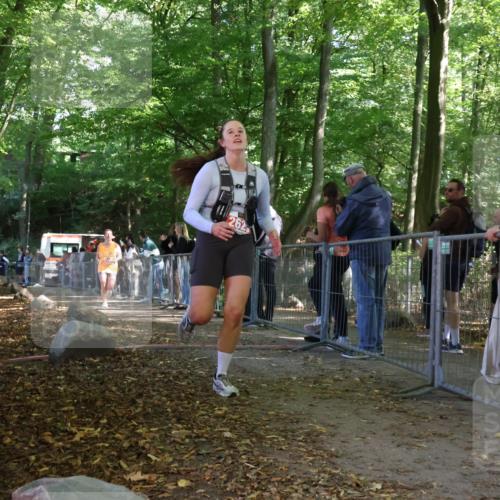 28.09.2025 - 33. Volkslauf durch das schöne Alstertal Strokosch-Dieckow http://msf.ph/oto/8953913 28.09.2025 12:35:20 Ziel 2289, 2625 meine-sportfotos.de