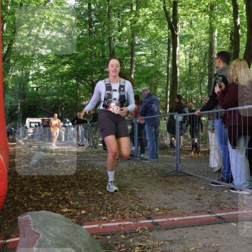 28.09.2025 - 33. Volkslauf durch das schöne Alstertal Strokosch-Dieckow http://msf.ph/oto/8953916 28.09.2025 12:35:21 Ziel 2289 meine-sportfotos.de