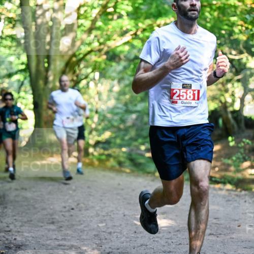 28.09.2025 - 33. Volkslauf durch das schöne Alstertal Dr. Thomas Lammeyer http://msf.ph/oto/8953918 28.09.2025 10:37:24 Laufen 2581 meine-sportfotos.de