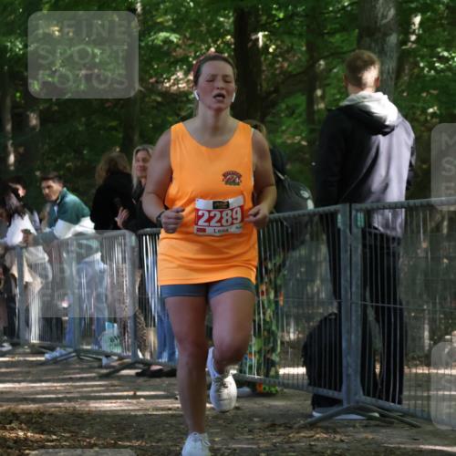 28.09.2025 - 33. Volkslauf durch das schöne Alstertal Strokosch-Dieckow http://msf.ph/oto/8953923 28.09.2025 12:35:23 Ziel 2289 meine-sportfotos.de