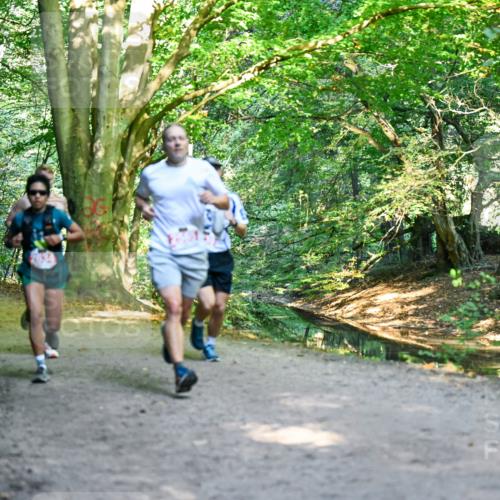28.09.2025 - 33. Volkslauf durch das schöne Alstertal Dr. Thomas Lammeyer http://msf.ph/oto/8953924 28.09.2025 10:37:24 Laufen  meine-sportfotos.de