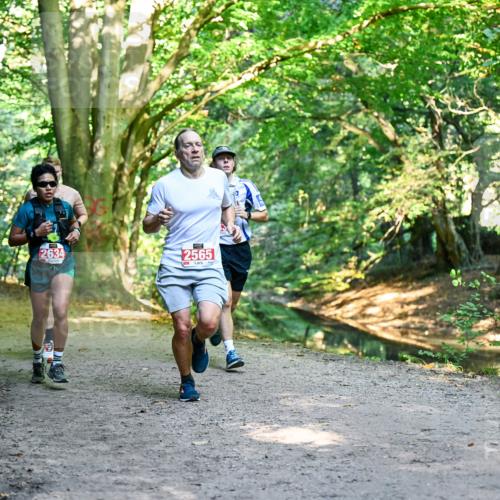 28.09.2025 - 33. Volkslauf durch das schöne Alstertal Dr. Thomas Lammeyer http://msf.ph/oto/8953925 28.09.2025 10:37:25 Laufen 2634, 2565 meine-sportfotos.de
