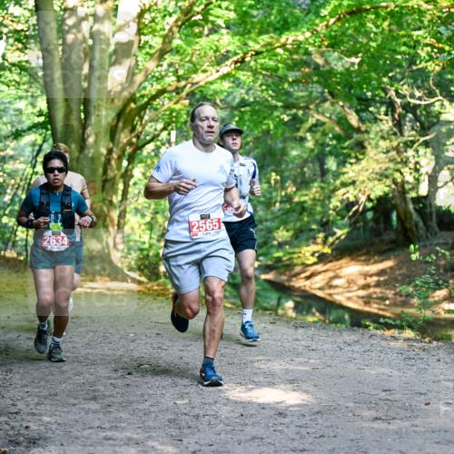 28.09.2025 - 33. Volkslauf durch das schöne Alstertal Dr. Thomas Lammeyer http://msf.ph/oto/8953928 28.09.2025 10:37:25 Laufen 2634, 2565 meine-sportfotos.de