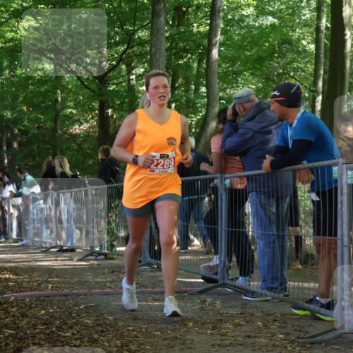 28.09.2025 - 33. Volkslauf durch das schöne Alstertal Strokosch-Dieckow http://msf.ph/oto/8953929 28.09.2025 12:35:24 Ziel 2289 meine-sportfotos.de