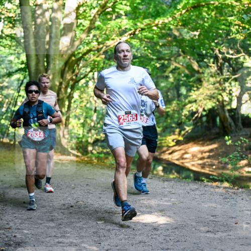 28.09.2025 - 33. Volkslauf durch das schöne Alstertal Dr. Thomas Lammeyer http://msf.ph/oto/8953932 28.09.2025 10:37:25 Laufen 2634, 2565, 11, 39 meine-sportfotos.de