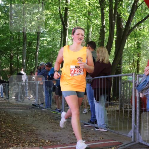 28.09.2025 - 33. Volkslauf durch das schöne Alstertal Strokosch-Dieckow http://msf.ph/oto/8953934 28.09.2025 12:35:25 Ziel  meine-sportfotos.de