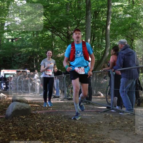 28.09.2025 - 33. Volkslauf durch das schöne Alstertal Strokosch-Dieckow http://msf.ph/oto/8953942 28.09.2025 12:35:52 Ziel 1155, 2563 meine-sportfotos.de