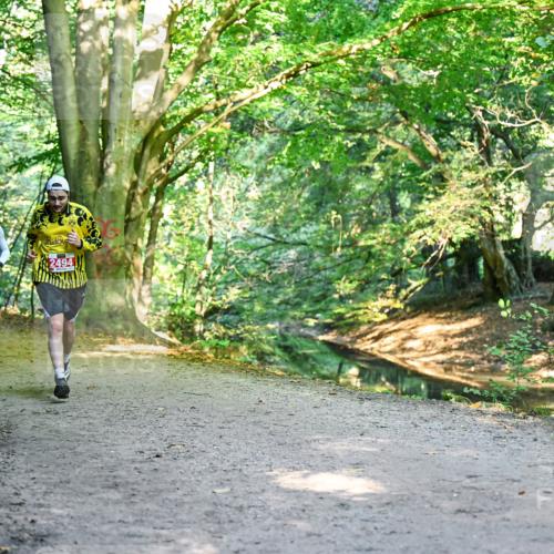 28.09.2025 - 33. Volkslauf durch das schöne Alstertal Dr. Thomas Lammeyer http://msf.ph/oto/8953953 28.09.2025 10:37:31 Laufen 2494 meine-sportfotos.de