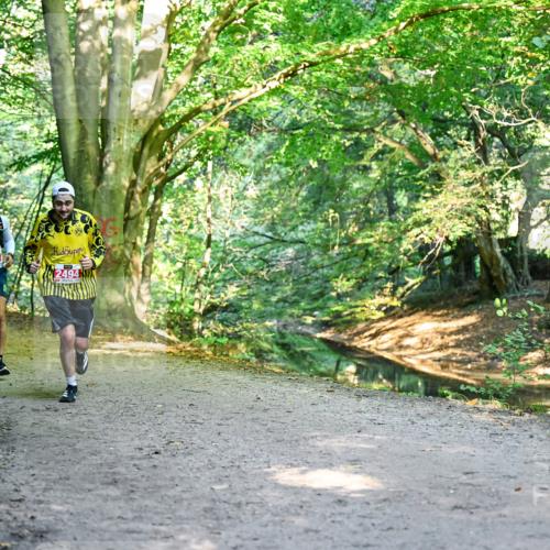 28.09.2025 - 33. Volkslauf durch das schöne Alstertal Dr. Thomas Lammeyer http://msf.ph/oto/8953954 28.09.2025 10:37:31 Laufen 2595, 2494 meine-sportfotos.de