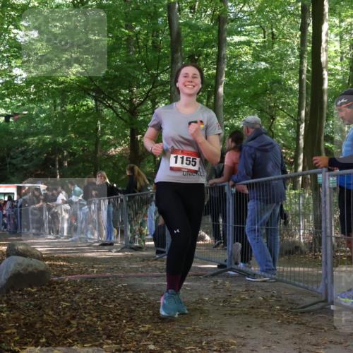 28.09.2025 - 33. Volkslauf durch das schöne Alstertal Strokosch-Dieckow http://msf.ph/oto/8953955 28.09.2025 12:35:54 Ziel 2505 meine-sportfotos.de