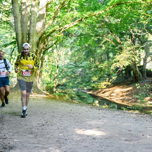 28.09.2025 - 33. Volkslauf durch das schöne Alstertal Dr. Thomas Lammeyer http://msf.ph/oto/8953961 28.09.2025 10:37:31 Laufen 2494 meine-sportfotos.de