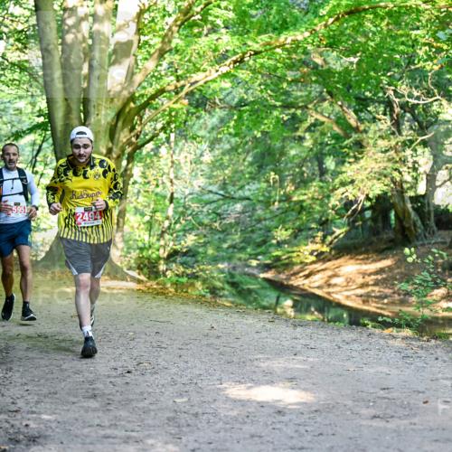 28.09.2025 - 33. Volkslauf durch das schöne Alstertal Dr. Thomas Lammeyer http://msf.ph/oto/8953963 28.09.2025 10:37:32 Laufen 595, 2494 meine-sportfotos.de