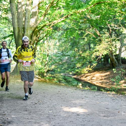 28.09.2025 - 33. Volkslauf durch das schöne Alstertal Dr. Thomas Lammeyer http://msf.ph/oto/8953964 28.09.2025 10:37:32 Laufen 2595, 2494 meine-sportfotos.de