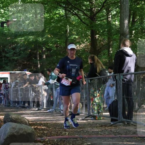 28.09.2025 - 33. Volkslauf durch das schöne Alstertal Strokosch-Dieckow http://msf.ph/oto/8953967 28.09.2025 12:36:02 Ziel 2505 meine-sportfotos.de