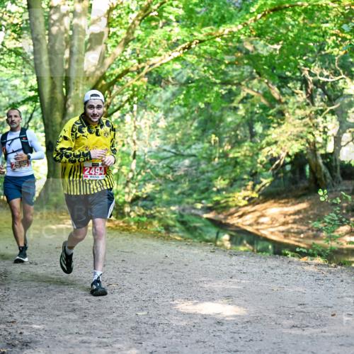 28.09.2025 - 33. Volkslauf durch das schöne Alstertal Dr. Thomas Lammeyer http://msf.ph/oto/8953968 28.09.2025 10:37:32 Laufen 595, 2494 meine-sportfotos.de