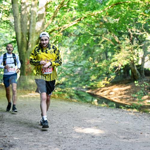 28.09.2025 - 33. Volkslauf durch das schöne Alstertal Dr. Thomas Lammeyer http://msf.ph/oto/8953970 28.09.2025 10:37:32 Laufen 2595, 2494 meine-sportfotos.de