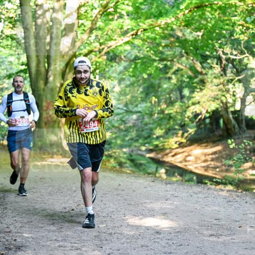 28.09.2025 - 33. Volkslauf durch das schöne Alstertal Dr. Thomas Lammeyer http://msf.ph/oto/8953972 28.09.2025 10:37:32 Laufen 494 meine-sportfotos.de