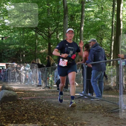28.09.2025 - 33. Volkslauf durch das schöne Alstertal Strokosch-Dieckow http://msf.ph/oto/8953976 28.09.2025 12:36:03 Ziel 2505 meine-sportfotos.de