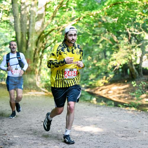 28.09.2025 - 33. Volkslauf durch das schöne Alstertal Dr. Thomas Lammeyer http://msf.ph/oto/8953977 28.09.2025 10:37:33 Laufen 2494 meine-sportfotos.de